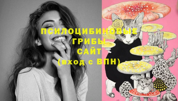 гашик Бородино