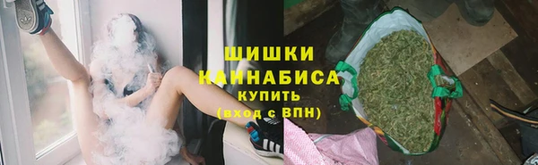 гашик Бородино