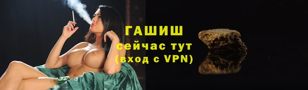 гашик Бородино