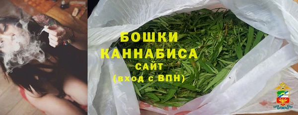 гашик Бородино