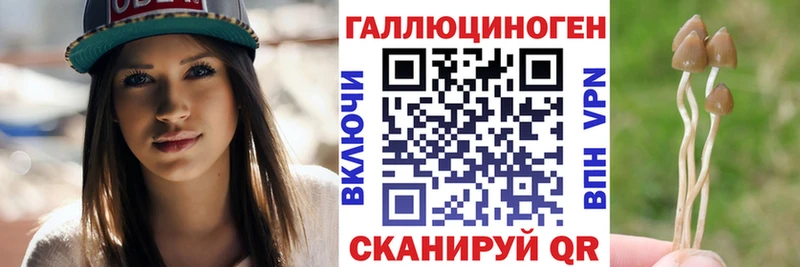 Псилоцибиновые грибы Psilocybine cubensis Купить Короча